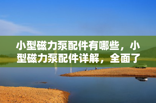 小型磁力泵配件有哪些，小型磁力泵配件详解，全面了解所需部件