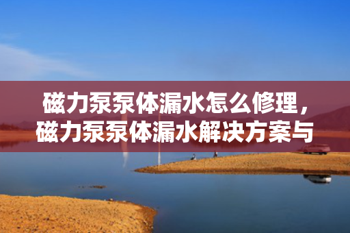 磁力泵泵体漏水怎么修理，磁力泵泵体漏水解决方案与修理技巧
