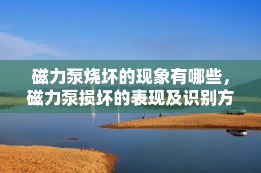 磁力泵烧坏的现象有哪些，磁力泵损坏的表现及识别方法