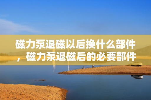 磁力泵退磁以后换什么部件，磁力泵退磁后的必要部件更换指南