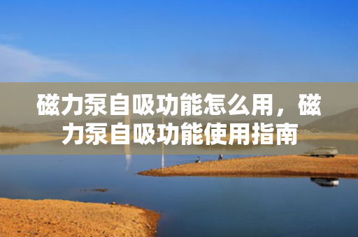 磁力泵自吸功能怎么用，磁力泵自吸功能使用指南