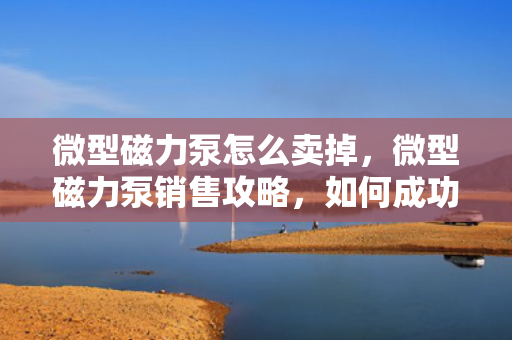 微型磁力泵怎么卖掉，微型磁力泵销售攻略，如何成功出售您的设备