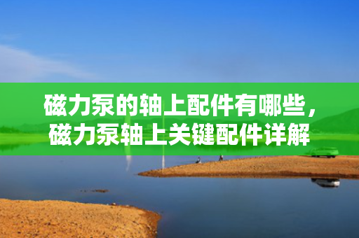 磁力泵的轴上配件有哪些，磁力泵轴上关键配件详解