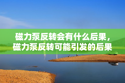 磁力泵反转会有什么后果，磁力泵反转可能引发的后果及风险