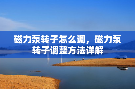 磁力泵转子怎么调，磁力泵转子调整方法详解