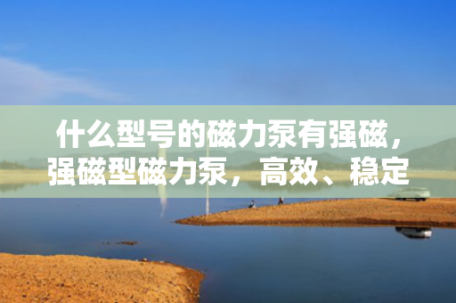 什么型号的磁力泵有强磁，强磁型磁力泵，高效、稳定、可靠的动力选择