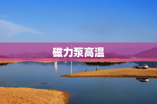 磁力泵高温