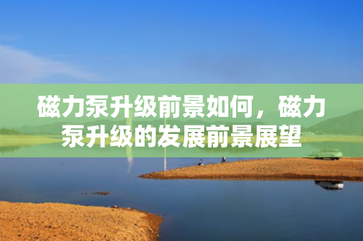 磁力泵升级前景如何，磁力泵升级的发展前景展望