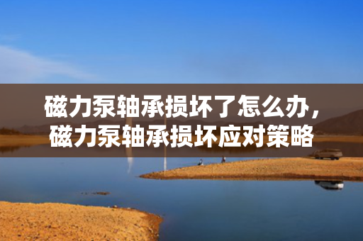 磁力泵轴承损坏了怎么办，磁力泵轴承损坏应对策略