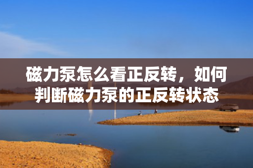 磁力泵怎么看正反转，如何判断磁力泵的正反转状态