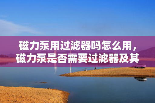 磁力泵用过滤器吗怎么用，磁力泵是否需要过滤器及其使用方法解析