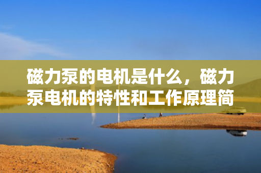 磁力泵的电机是什么，磁力泵电机的特性和工作原理简介