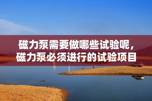 磁力泵需要做哪些试验呢，磁力泵必须进行的试验项目有哪些？