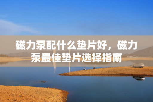 磁力泵配什么垫片好，磁力泵最佳垫片选择指南