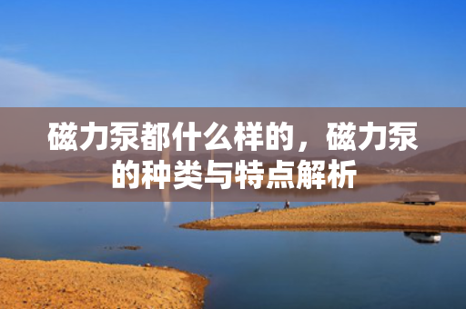 磁力泵都什么样的，磁力泵的种类与特点解析