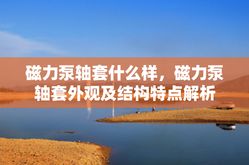 磁力泵轴套什么样，磁力泵轴套外观及结构特点解析