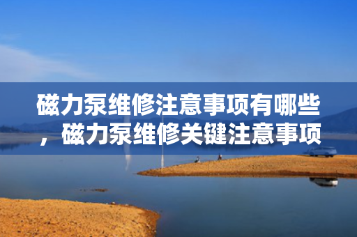 磁力泵维修注意事项有哪些，磁力泵维修关键注意事项解析