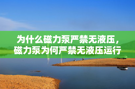 为什么磁力泵严禁无液压，磁力泵为何严禁无液压运行？