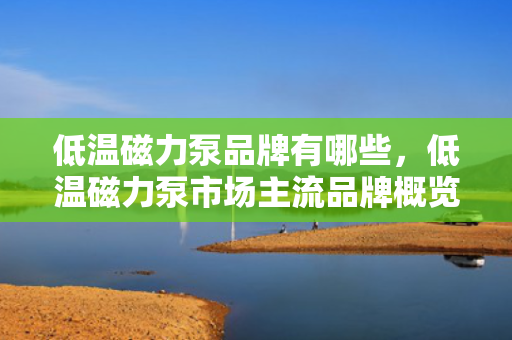 低温磁力泵品牌有哪些，低温磁力泵市场主流品牌概览