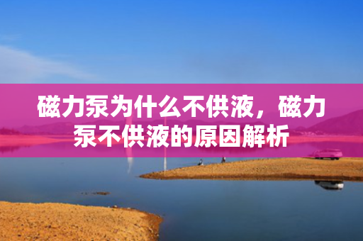 磁力泵为什么不供液，磁力泵不供液的原因解析