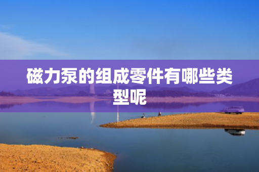 磁力泵的组成零件有哪些类型呢
