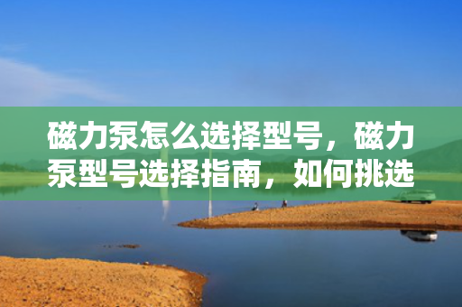 磁力泵怎么选择型号，磁力泵型号选择指南，如何挑选适合的磁力泵