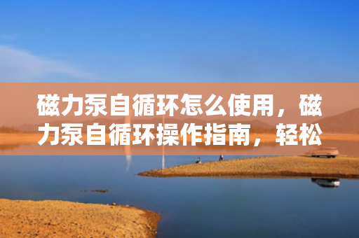 磁力泵自循环怎么使用，磁力泵自循环操作指南，轻松掌握使用方法