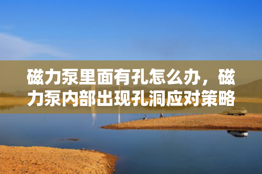 磁力泵里面有孔怎么办，磁力泵内部出现孔洞应对策略