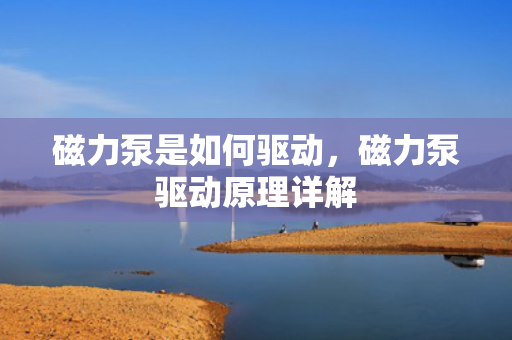 磁力泵是如何驱动，磁力泵驱动原理详解