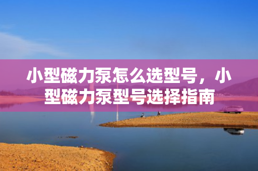 小型磁力泵怎么选型号，小型磁力泵型号选择指南