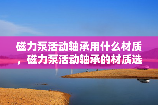 磁力泵活动轴承用什么材质，磁力泵活动轴承的材质选择