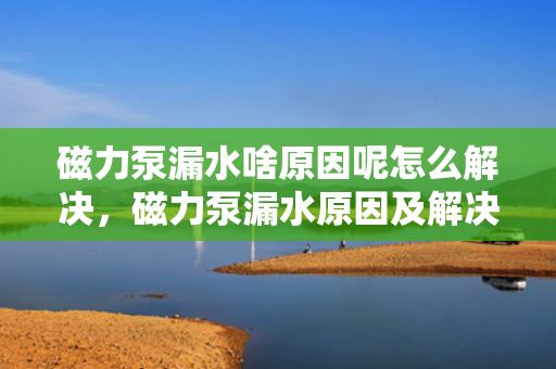 磁力泵漏水啥原因呢怎么解决，磁力泵漏水原因及解决方案