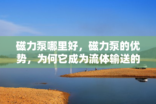 磁力泵哪里好，磁力泵的优势，为何它成为流体输送的首选？