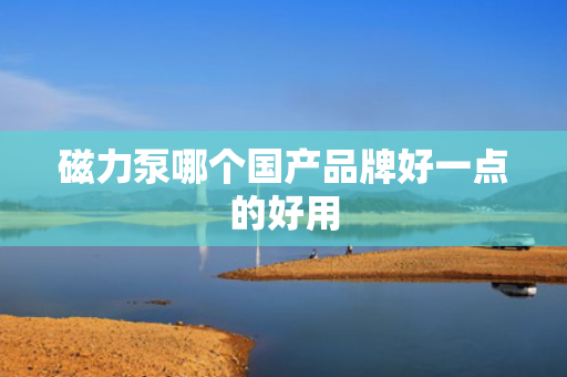 磁力泵哪个国产品牌好一点的好用