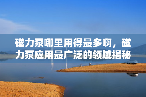 磁力泵哪里用得最多啊，磁力泵应用最广泛的领域揭秘