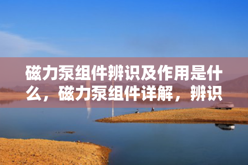 磁力泵组件辨识及作用是什么，磁力泵组件详解，辨识各部件及其关键作用