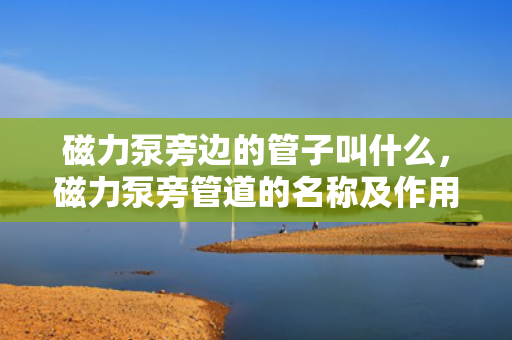 磁力泵旁边的管子叫什么，磁力泵旁管道的名称及作用