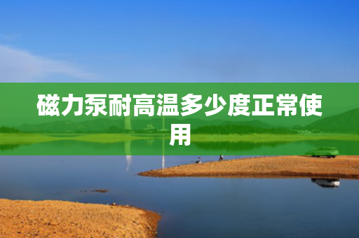 磁力泵耐高温多少度正常使用
