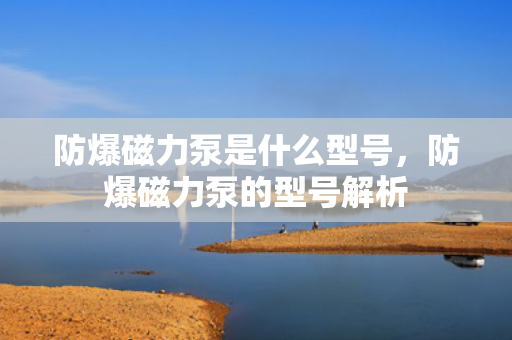 防爆磁力泵是什么型号，防爆磁力泵的型号解析