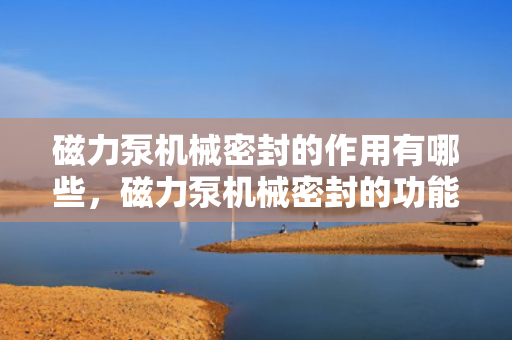 磁力泵机械密封的作用有哪些，磁力泵机械密封的功能及作用解析