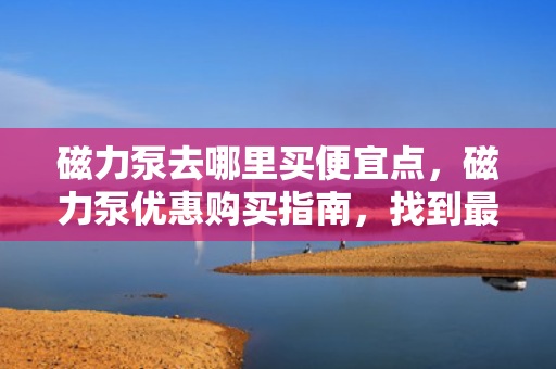 磁力泵去哪里买便宜点，磁力泵优惠购买指南，找到最便宜的购买渠道
