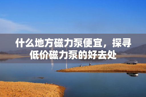 什么地方磁力泵便宜，探寻低价磁力泵的好去处