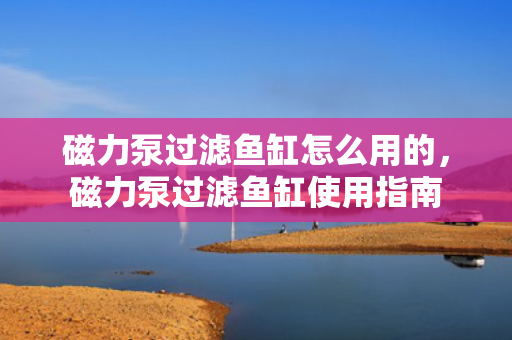 磁力泵过滤鱼缸怎么用的，磁力泵过滤鱼缸使用指南