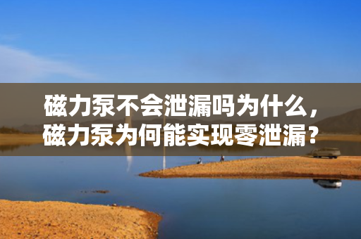 磁力泵不会泄漏吗为什么，磁力泵为何能实现零泄漏？——解析磁力泵的工作原理与优势