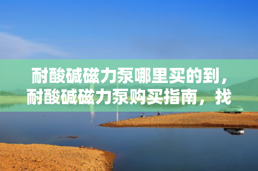 耐酸碱磁力泵哪里买的到，耐酸碱磁力泵购买指南，找到最适合你的供应商