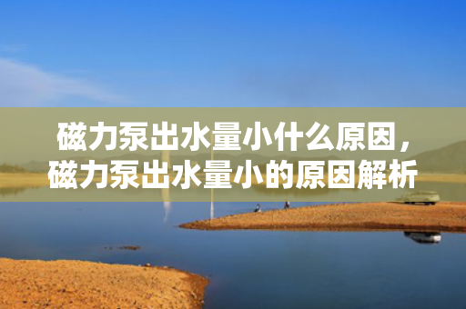 磁力泵出水量小什么原因，磁力泵出水量小的原因解析