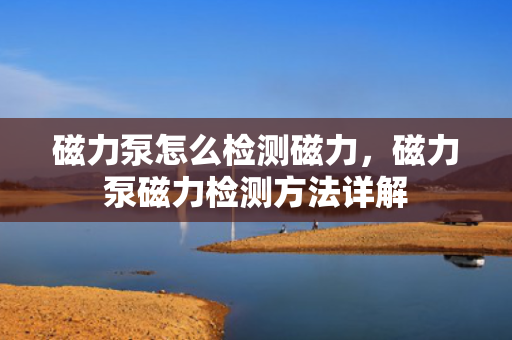 磁力泵怎么检测磁力，磁力泵磁力检测方法详解