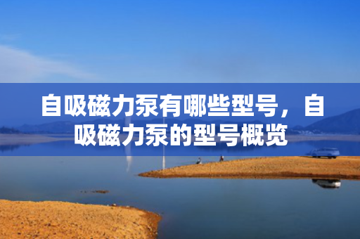自吸磁力泵有哪些型号，自吸磁力泵的型号概览
