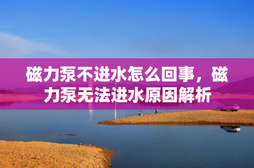 磁力泵不进水怎么回事，磁力泵无法进水原因解析