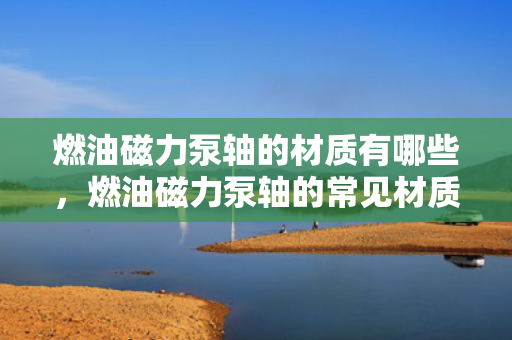 燃油磁力泵轴的材质有哪些，燃油磁力泵轴的常见材质概述